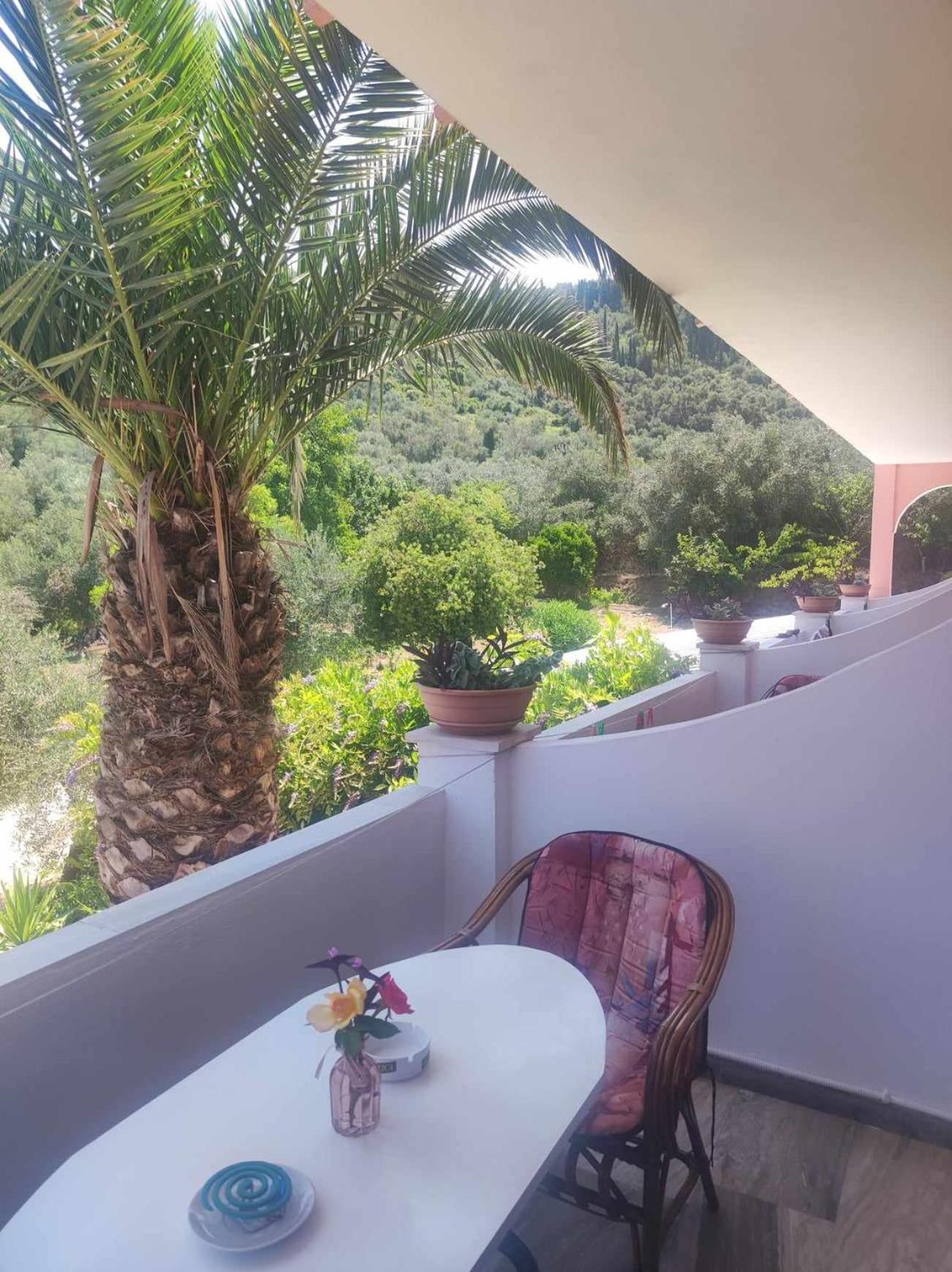 Marianna House Hotel Agios Georgios Pagon Luaran gambar